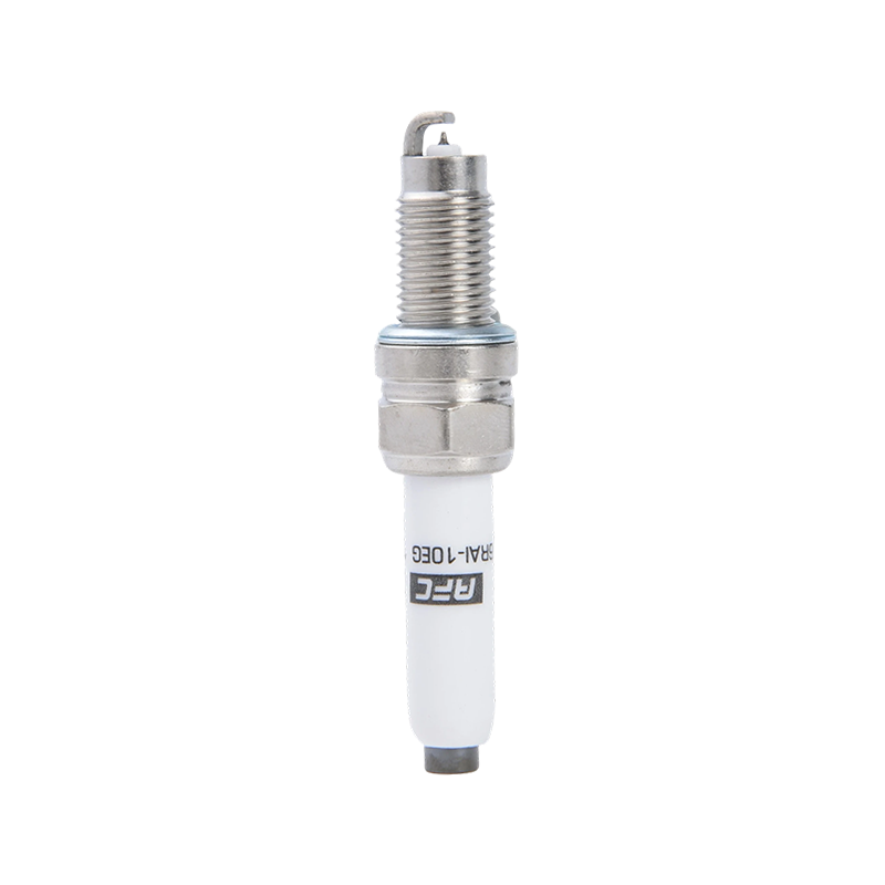 1609 ZKE6RAI-10EG Busi Iridium 96596 Untuk VW EA211 04C905616